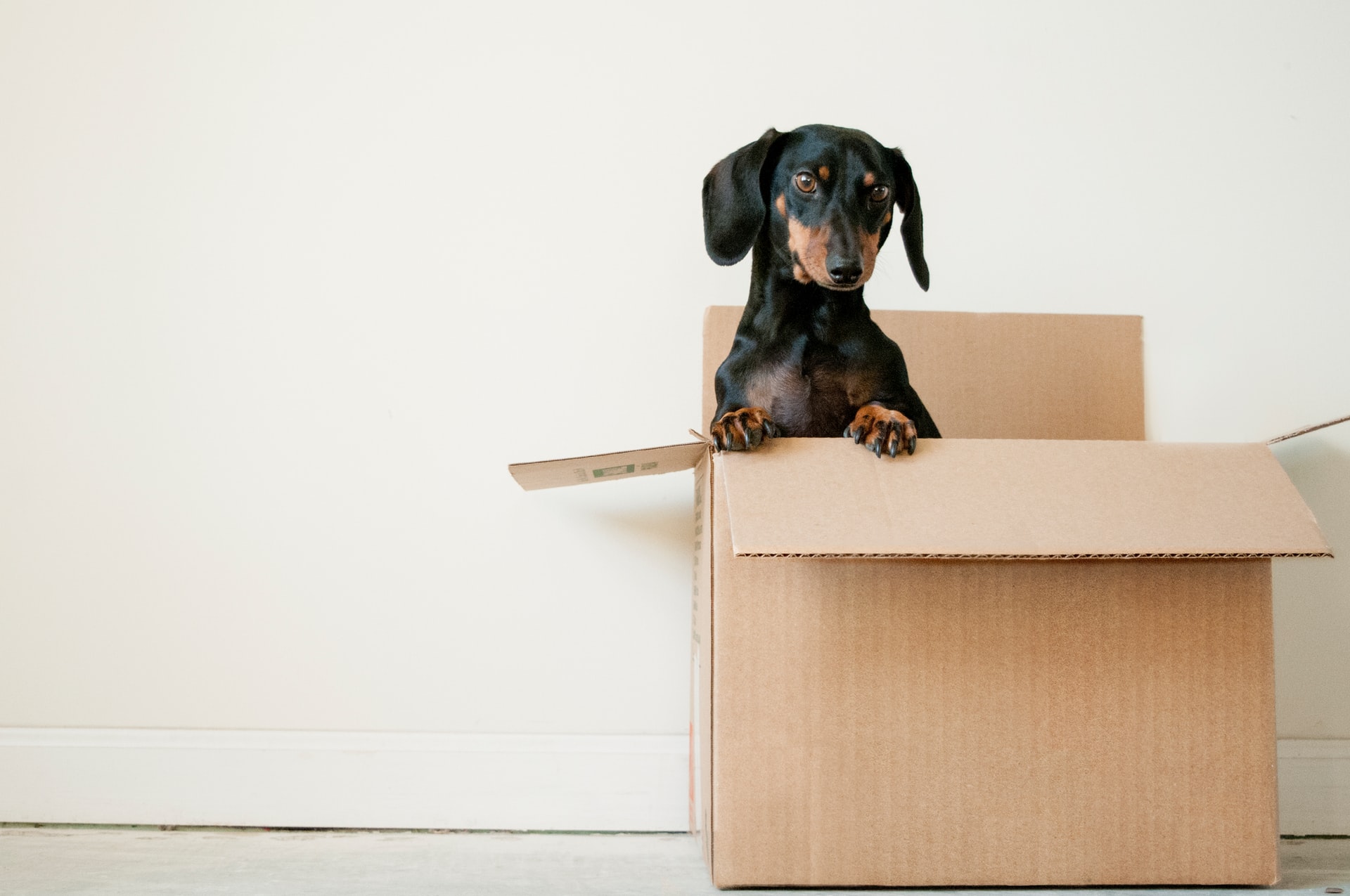 8 tips to make moving home simple